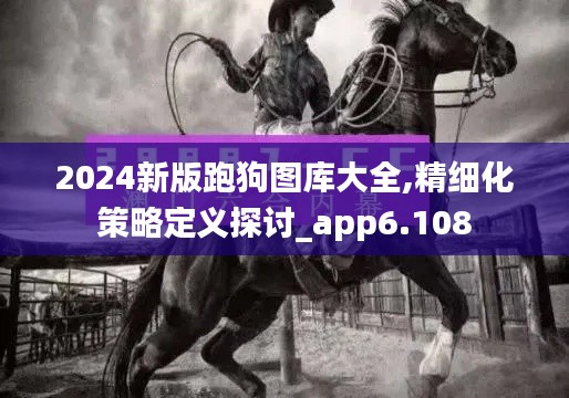 2024新版跑狗图库大全,精细化策略定义探讨_app6.108