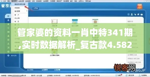 管家婆的资料一肖中特341期,实时数据解析_复古款4.582