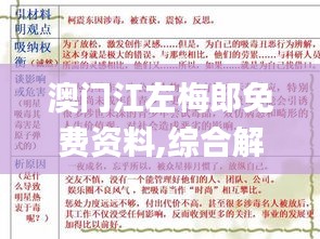 澳门江左梅郎免费资料,综合解答解释定义_复刻款3.358