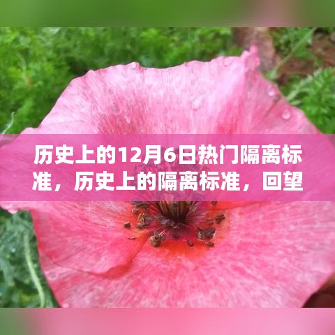 回望历史上的隔离标准，十二月六日的重大时刻与隔离标准演变