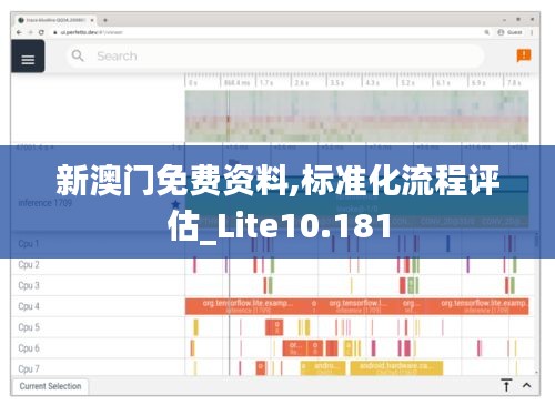 新澳门免费资料,标准化流程评估_Lite10.181