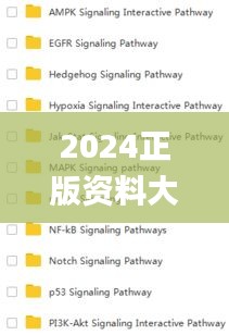 2024正版资料大全开码,资源实施方案_运动版9.891