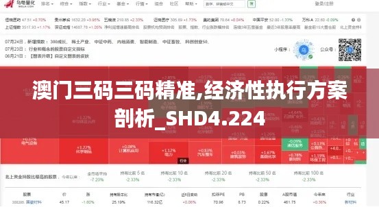 澳门三码三码精准,经济性执行方案剖析_SHD4.224