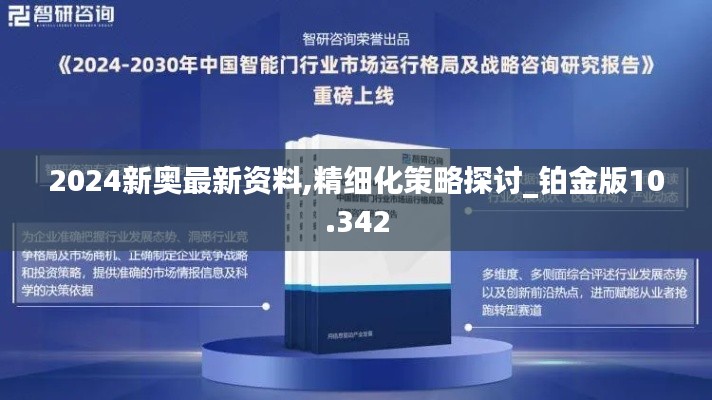 2024新奥最新资料,精细化策略探讨_铂金版10.342