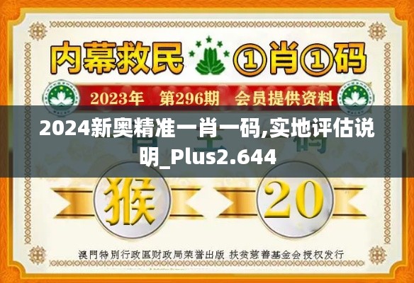 2024新奥精准一肖一码,实地评估说明_Plus2.644