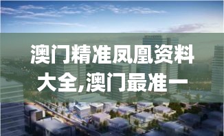 澳门精准凤凰资料大全,澳门最准一码一码揭秘_OP8.791