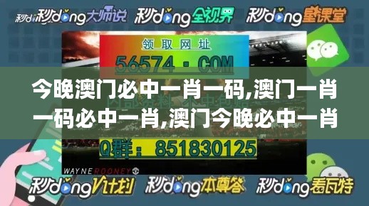 今晚澳门必中一肖一码,澳门一肖一码必中一肖,澳门今晚必中一肖一码,2024澳门,收益成语分析落实_交互版18.310