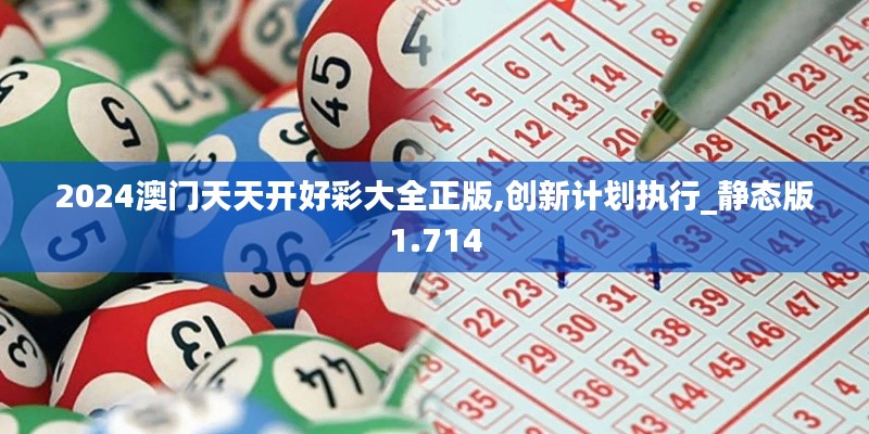 2024澳门天天开好彩大全正版,创新计划执行_静态版1.714