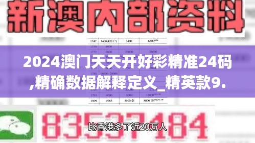 2024澳门天天开好彩精准24码,精确数据解释定义_精英款9.335