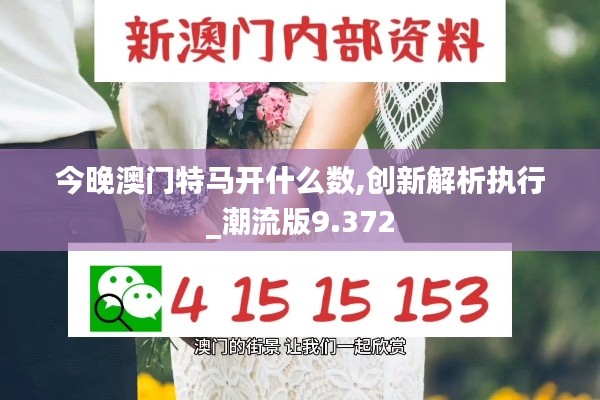 今晚澳门特马开什么数,创新解析执行_潮流版9.372