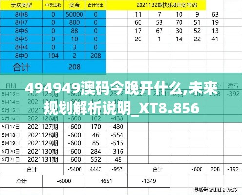 494949澳码今晚开什么,未来规划解析说明_XT8.856