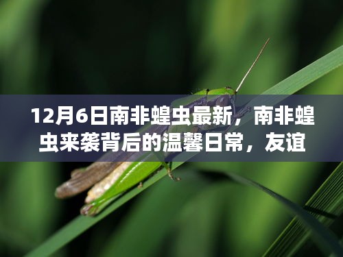 瑞雪飞舞 第2页