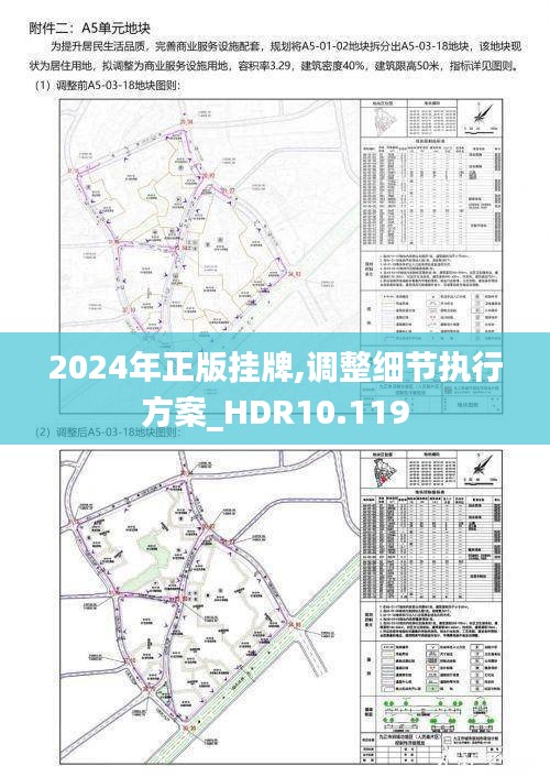 2024年正版挂牌,调整细节执行方案_HDR10.119