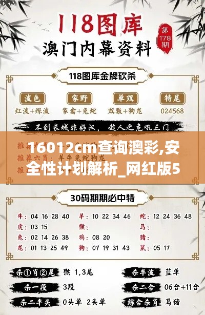 16012cm查询澳彩,安全性计划解析_网红版5.303