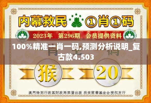 100%精准一肖一码,预测分析说明_复古款4.503