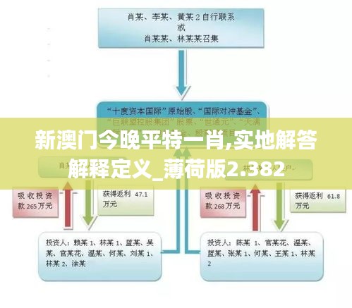 新澳门今晚平特一肖,实地解答解释定义_薄荷版2.382