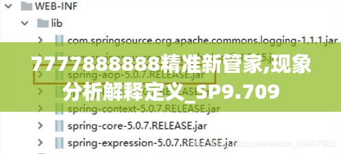7777888888精准新管家,现象分析解释定义_SP9.709