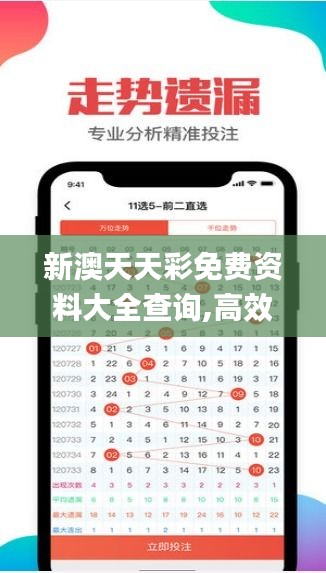 新澳天天彩免费资料大全查询,高效实施方法分析_钱包版10.264