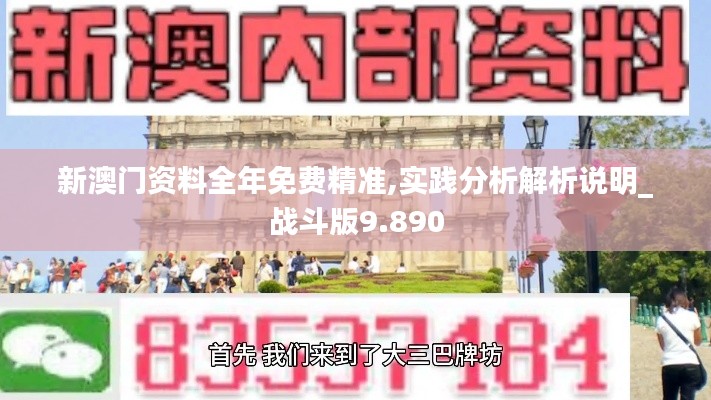 新澳门资料全年免费精准,实践分析解析说明_战斗版9.890