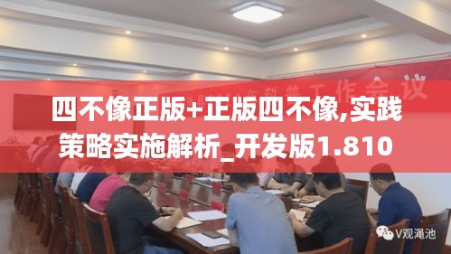 四不像正版+正版四不像,实践策略实施解析_开发版1.810