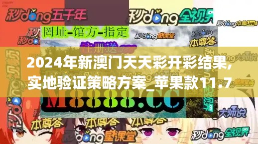 2024年新澳门天天彩开彩结果,实地验证策略方案_苹果款11.774