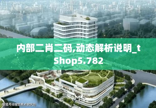 内部二肖二码,动态解析说明_tShop5.782