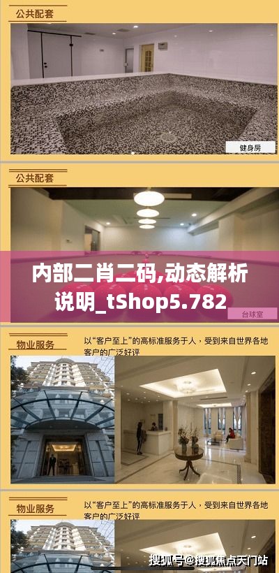 内部二肖二码,动态解析说明_tShop5.78 8