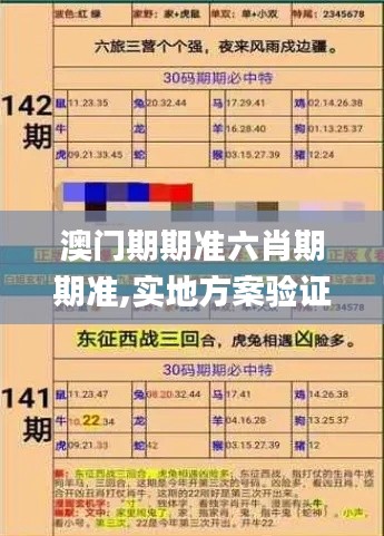 澳门期期准六肖期期准,实地方案验证策略_vShop4.715