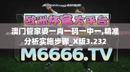 澳门管家婆一肖一码一中一,精准分析实施步骤_X版3.232