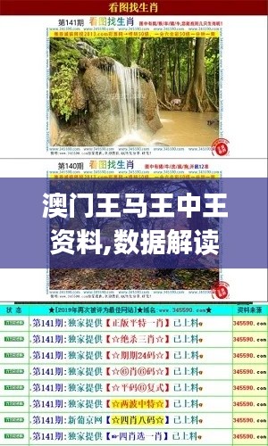 澳门王马王中王资料,数据解读说明_专业款19.464