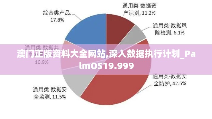 澳门正版资料大全网站,深入数据执行计划_PalmOS19.999