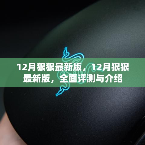 全面评测与介绍，最新十二月版评测报告