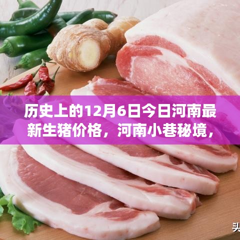 河南小巷秘境,探寻美食小店与揭秘今日生猪价格背后的故事