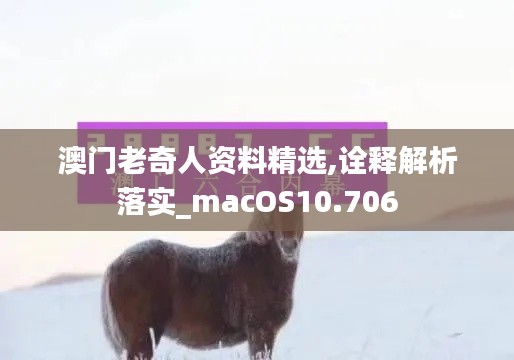 澳门老奇人资料精选,诠释解析落实_macOS10.706