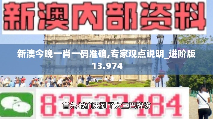 新澳今晚一肖一码准确,专家观点说明_进阶版13.974