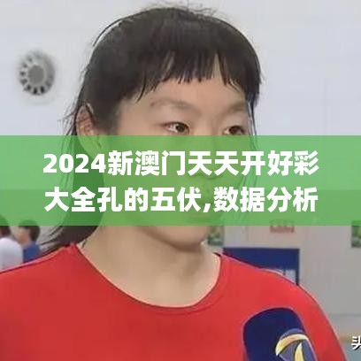 2024新澳门天天开好彩大全孔的五伏,数据分析说明_XT2.310