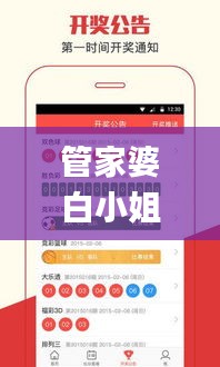 管家婆白小姐开奖记录,快速响应策略方案_豪华款3.763
