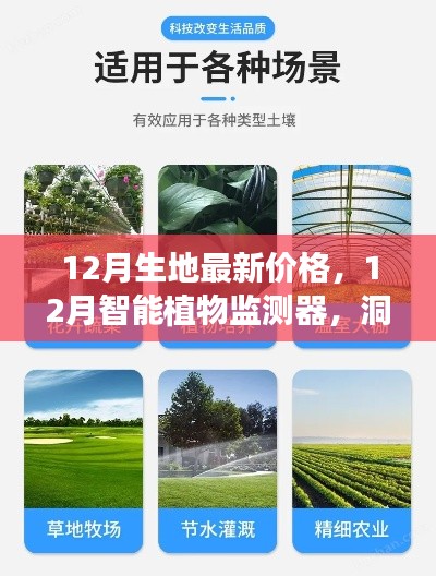 科技重塑农业生态新纪元，最新土地价格与智能植物监测器洞悉土地价值揭秘