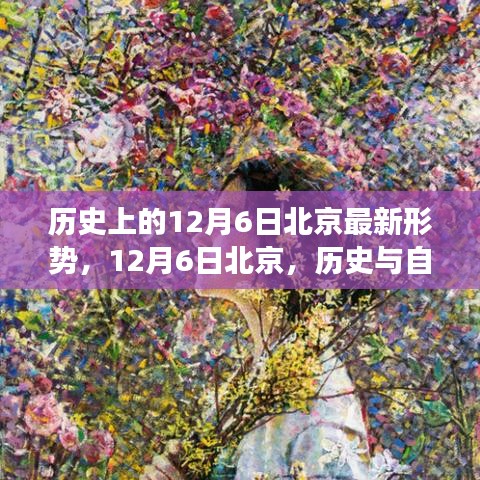 历史与自然的交响乐章，北京在12月6日的最新形势回顾