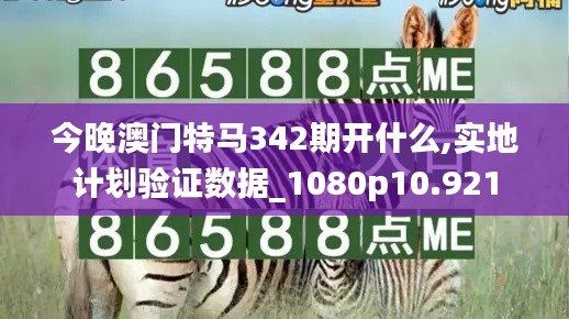 今晚澳门特马342期开什么,实地计划验证数据_1080p10.921