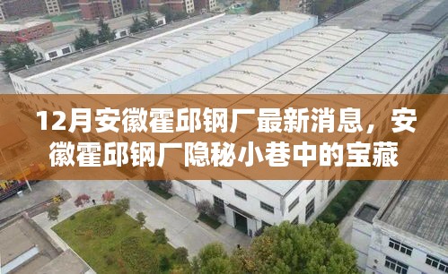 探访安徽霍邱钢厂宝藏小店，揭秘隐秘小巷的独特韵味与最新动态