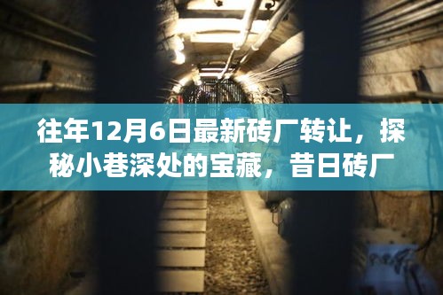 探秘砖厂新生，昔日砖厂变身独特小店，揭秘转让背后的故事！