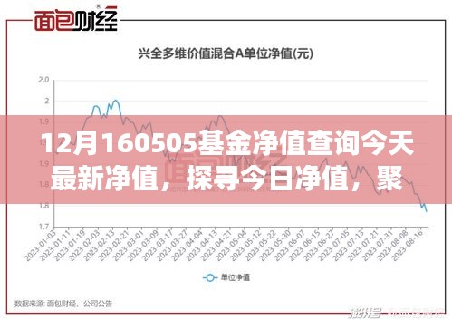 探寻今日基金净值变迁，聚焦十二月五日市场风云下的基金净值查询