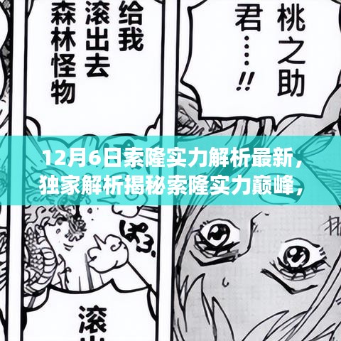 独家解析，索隆实力巅峰揭秘，角色成长与技能进阶深度解读（最新实力解读）