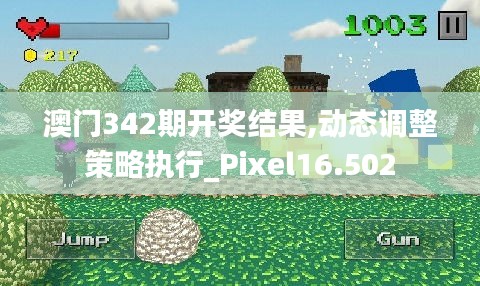 澳门342期开奖结果,动态调整策略执行_Pixel16.502
