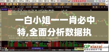 一白小姐一一肖必中特,全面分析数据执行_微型版5.367