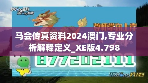 马会传真资料2024澳门,专业分析解释定义_XE版4.798