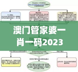 澳门管家婆一肖一码2023年,详细解读定义方案_N版6.107