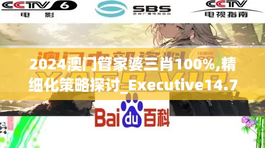 2024澳门管家婆三肖100%,精细化策略探讨_Executive14.797
