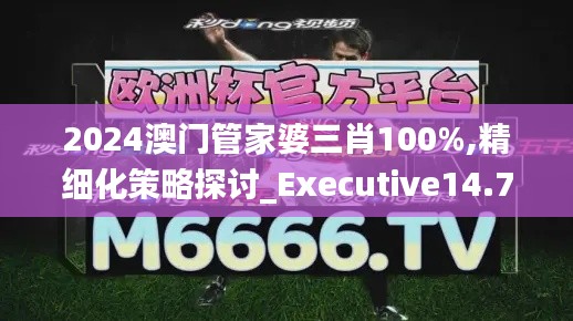 2024澳门管家婆三肖100%,精细化策略探讨_Executive14.797